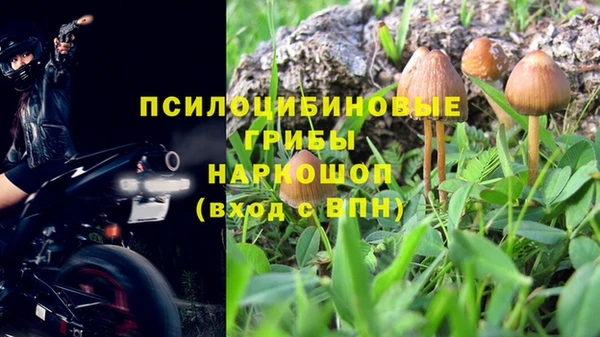 прущая мука Аркадак
