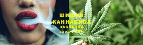 прущие грибы Армянск