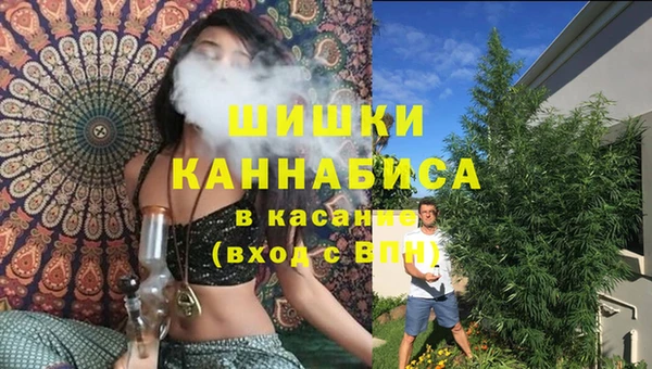 прущие грибы Армянск