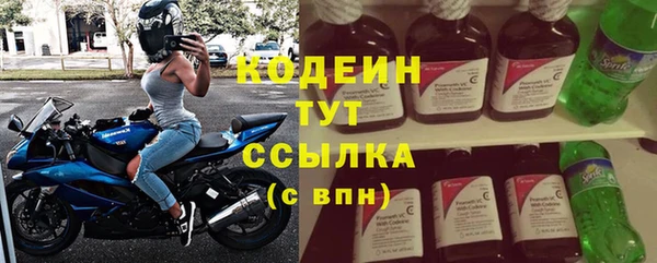 прущие грибы Армянск
