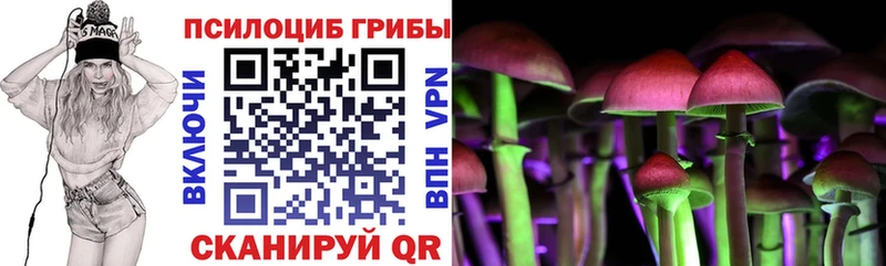 Псилоцибиновые грибы прущие грибы  KRAKEN ссылки  Каргат  купить закладку 